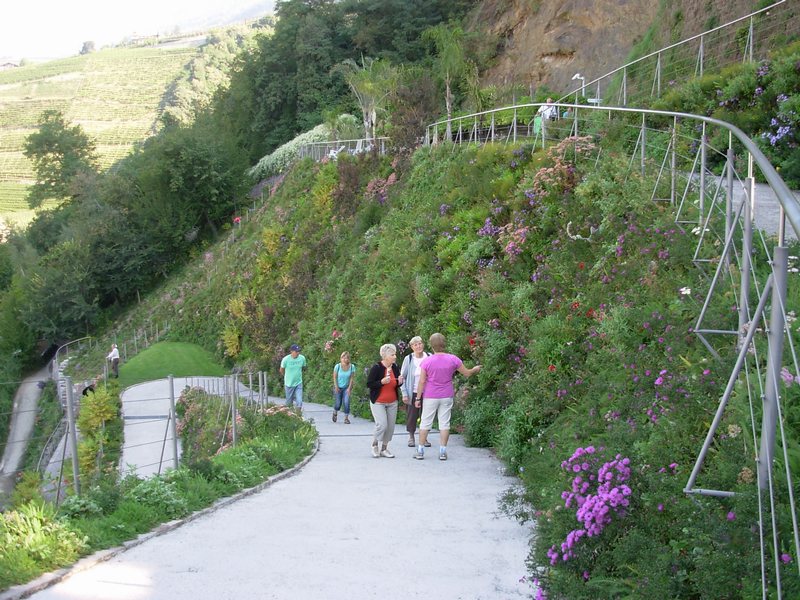 n_31 Trauttmansdorff.jpg